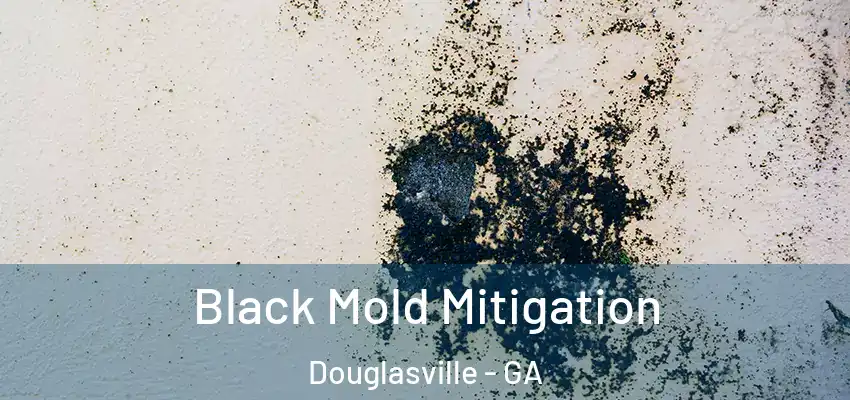 Black Mold Mitigation Douglasville - GA