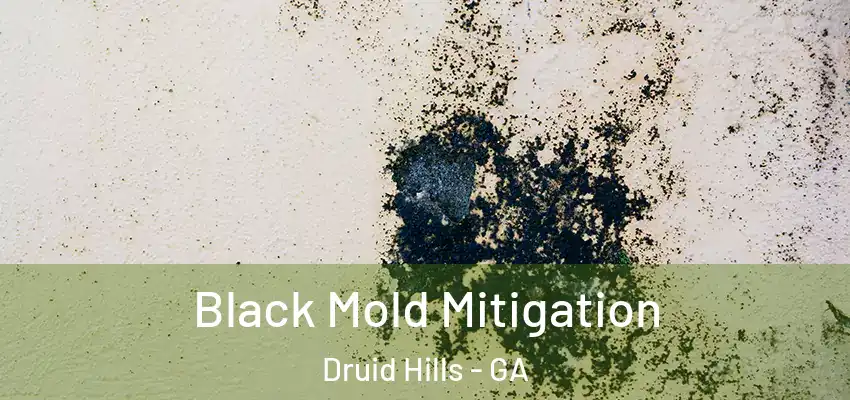  Black Mold Mitigation Druid Hills - GA