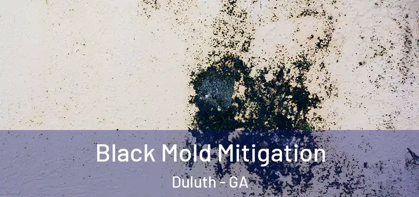 Black Mold Mitigation Duluth - GA