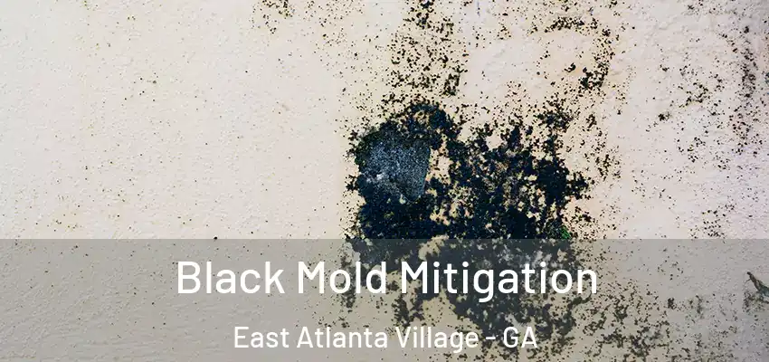 Black Mold Mitigation East Atlanta Village - GA