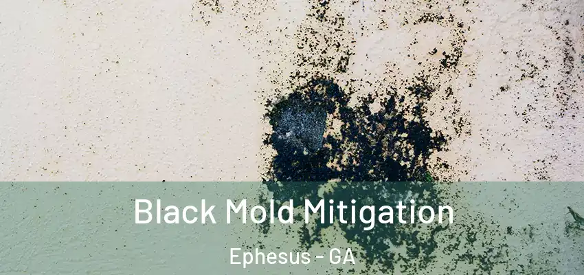Black Mold Mitigation Ephesus - GA