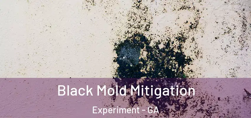  Black Mold Mitigation Experiment - GA