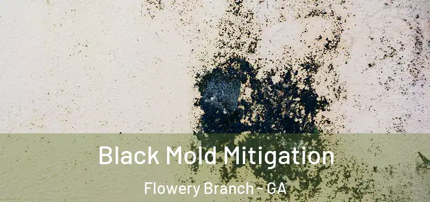Black Mold Mitigation Flowery Branch - GA