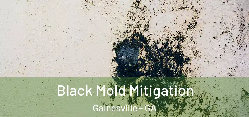 Black Mold Mitigation Gainesville - GA