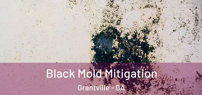  Black Mold Mitigation Grantville - GA