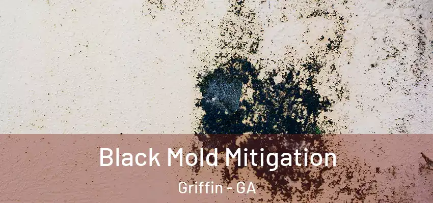  Black Mold Mitigation Griffin - GA