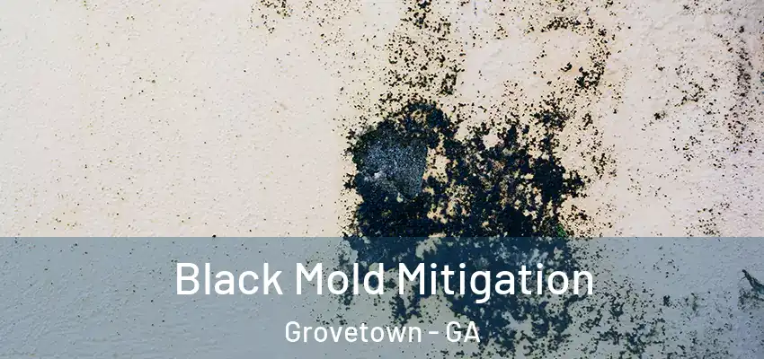 Black Mold Mitigation Grovetown - GA