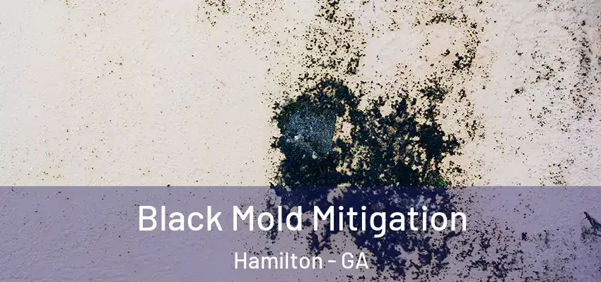 Black Mold Mitigation Hamilton - GA