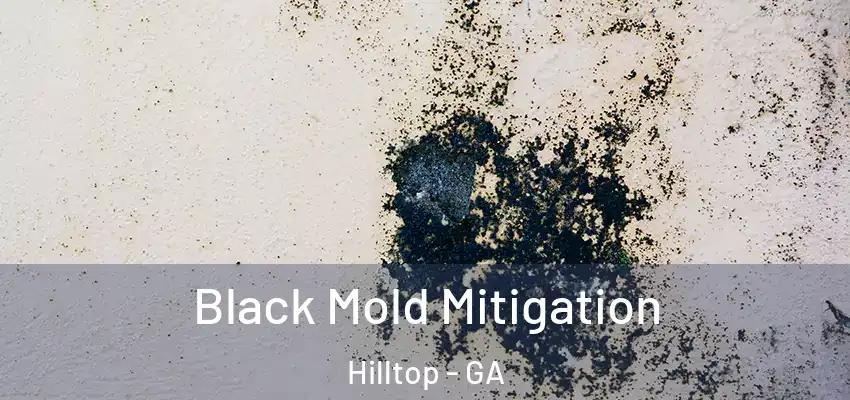  Black Mold Mitigation Hilltop - GA