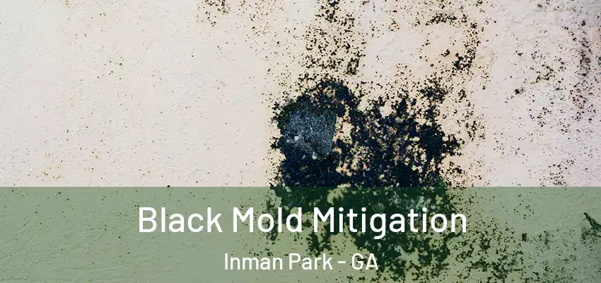  Black Mold Mitigation Inman Park - GA