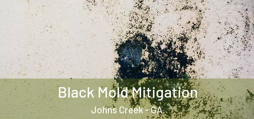 Black Mold Mitigation Johns Creek - GA