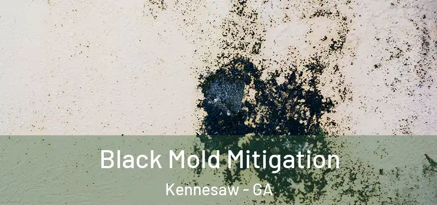  Black Mold Mitigation Kennesaw - GA