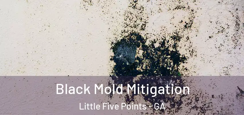  Black Mold Mitigation Little Five Points - GA