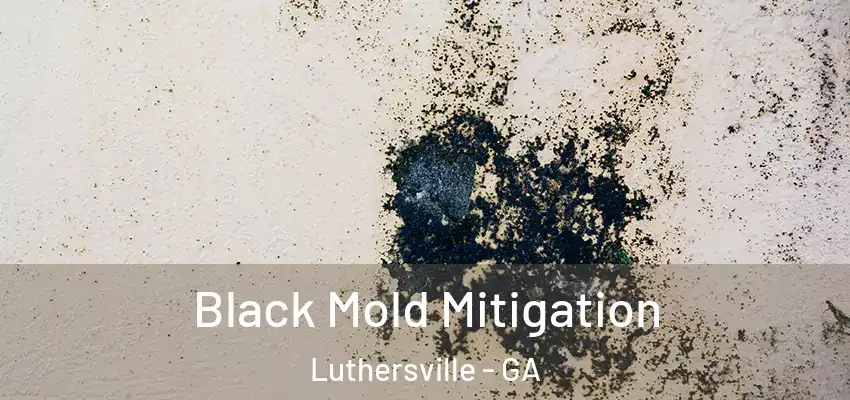  Black Mold Mitigation Luthersville - GA