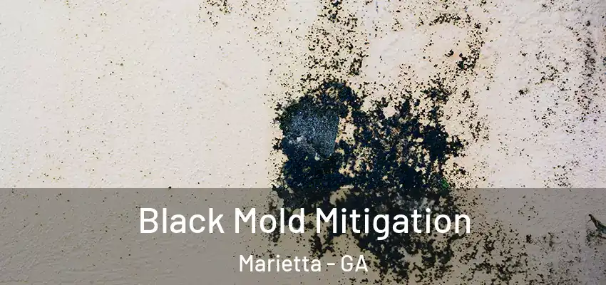  Black Mold Mitigation Marietta - GA