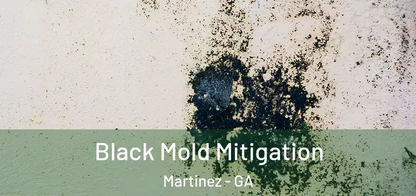  Black Mold Mitigation Martinez - GA