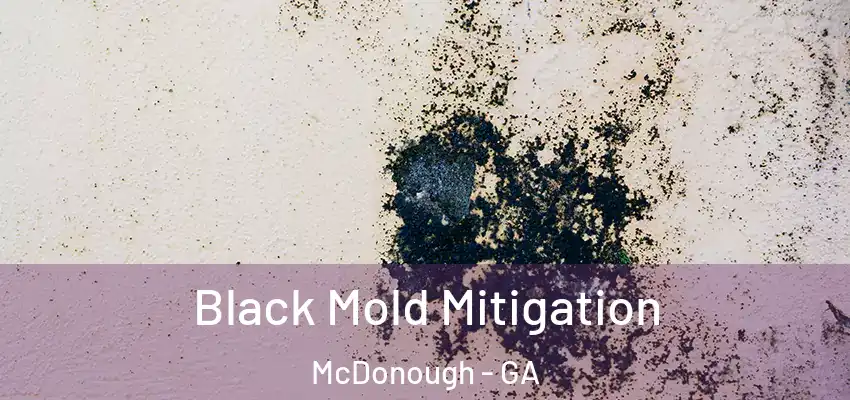  Black Mold Mitigation McDonough - GA