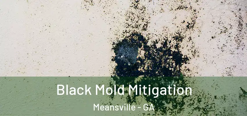 Black Mold Mitigation Meansville - GA