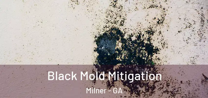 Black Mold Mitigation Milner - GA