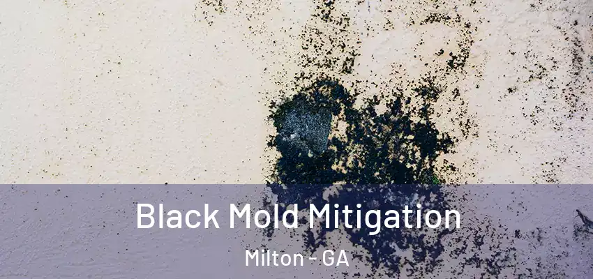  Black Mold Mitigation Milton - GA