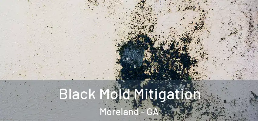  Black Mold Mitigation Moreland - GA