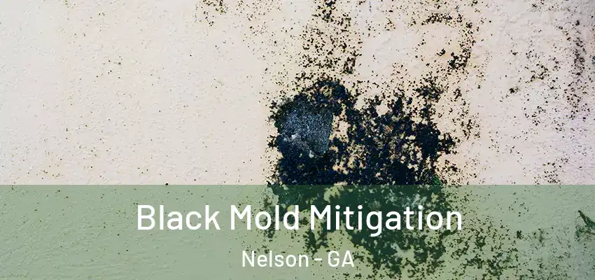  Black Mold Mitigation Nelson - GA