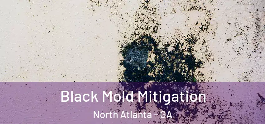  Black Mold Mitigation North Atlanta - GA