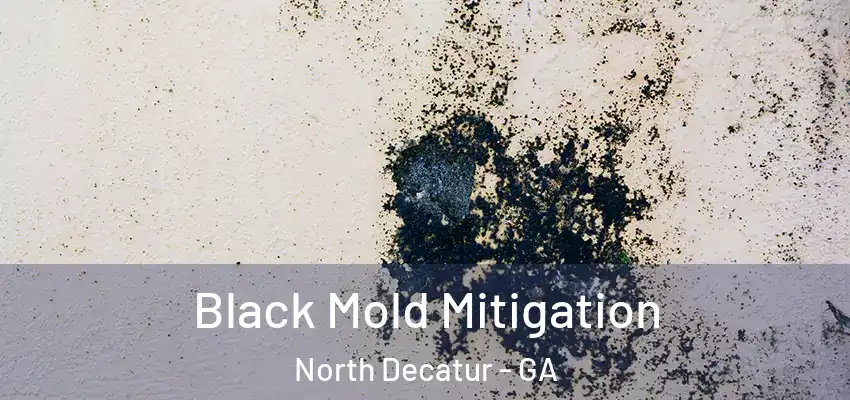 Black Mold Mitigation North Decatur - GA
