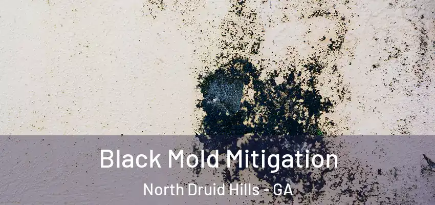 Black Mold Mitigation North Druid Hills - GA