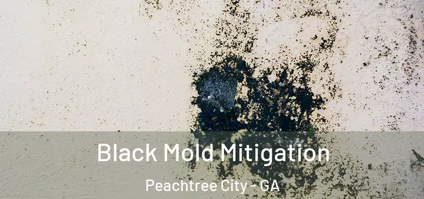  Black Mold Mitigation Peachtree City - GA