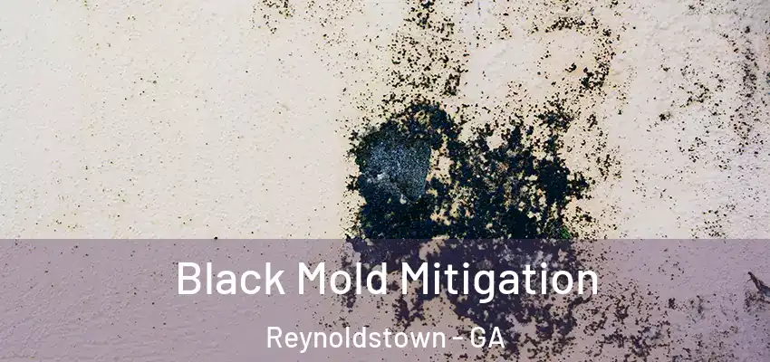  Black Mold Mitigation Reynoldstown - GA