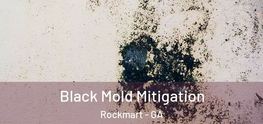  Black Mold Mitigation Rockmart - GA