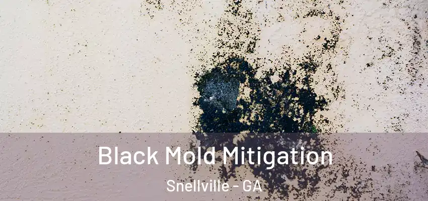  Black Mold Mitigation Snellville - GA