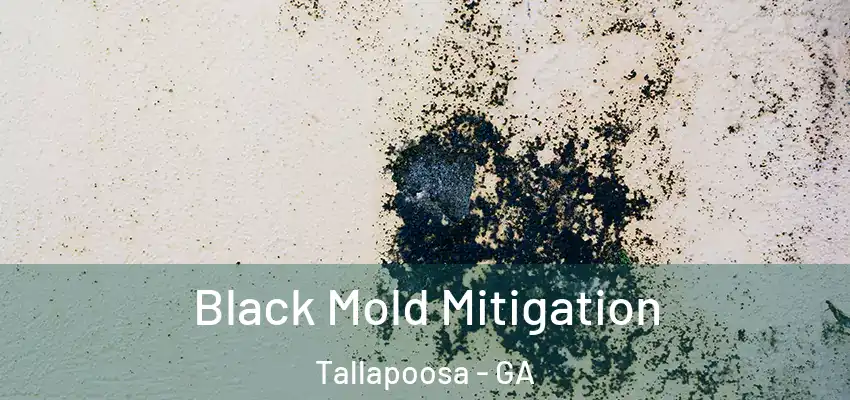 Black Mold Mitigation Tallapoosa - GA