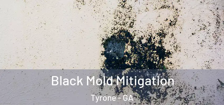 Black Mold Mitigation Tyrone - GA