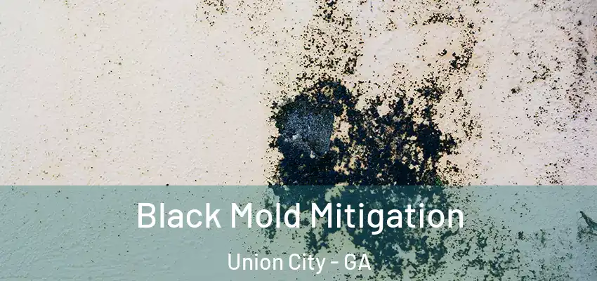  Black Mold Mitigation Union City - GA