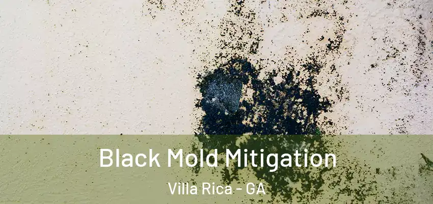  Black Mold Mitigation Villa Rica - GA