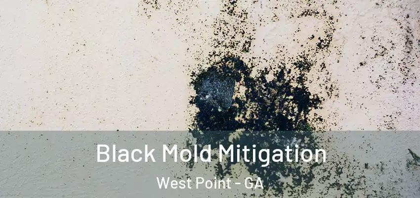  Black Mold Mitigation West Point - GA