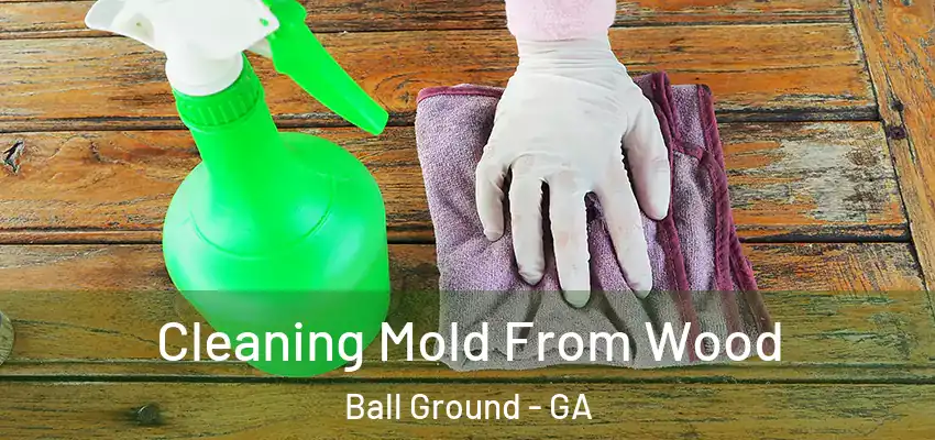  Cleaning Mold From Wood Ball Ground - GA