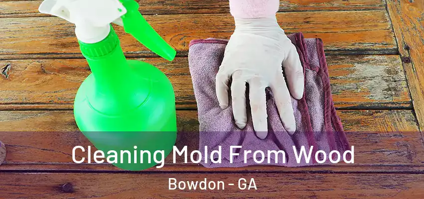  Cleaning Mold From Wood Bowdon - GA