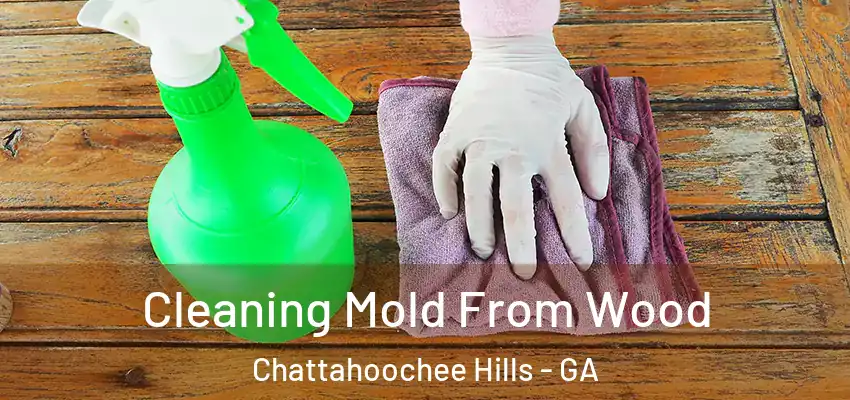  Cleaning Mold From Wood Chattahoochee Hills - GA