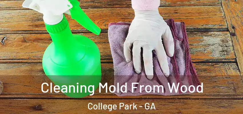 Cleaning Mold From Wood College Park - GA