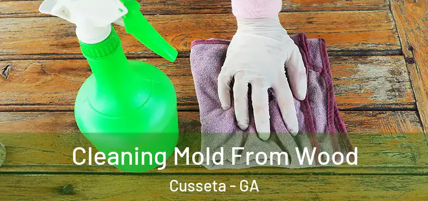  Cleaning Mold From Wood Cusseta - GA
