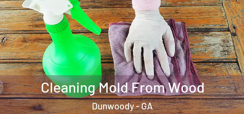  Cleaning Mold From Wood Dunwoody - GA