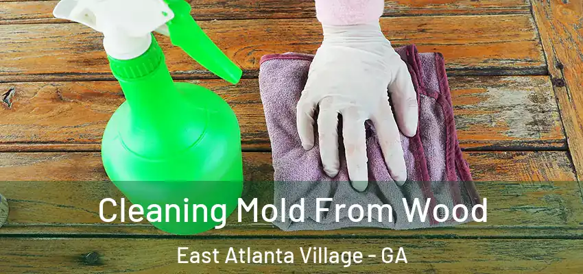 Cleaning Mold From Wood East Atlanta Village - GA