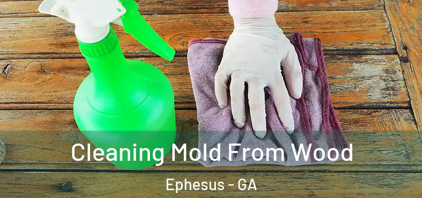 Cleaning Mold From Wood Ephesus - GA