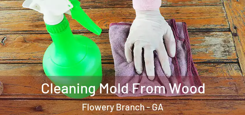  Cleaning Mold From Wood Flowery Branch - GA