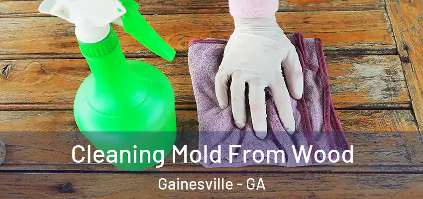  Cleaning Mold From Wood Gainesville - GA