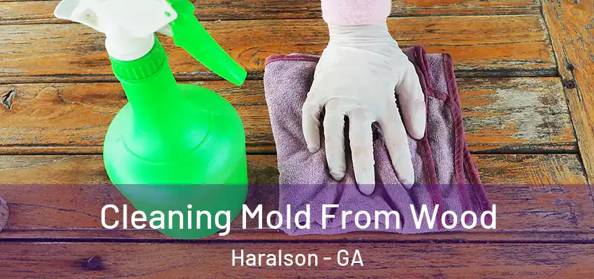  Cleaning Mold From Wood Haralson - GA