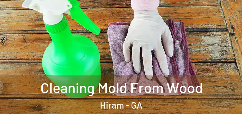  Cleaning Mold From Wood Hiram - GA